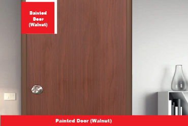 Painted Door (Walnut)
